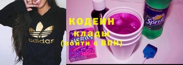 хмурый Абаза