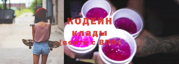 хмурый Абаза