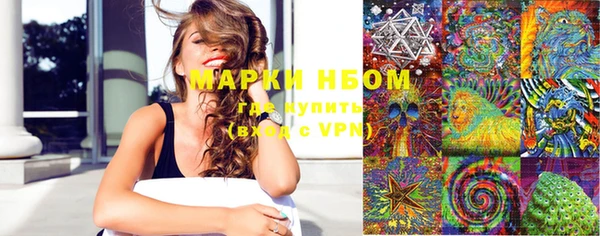 хмурый Абаза