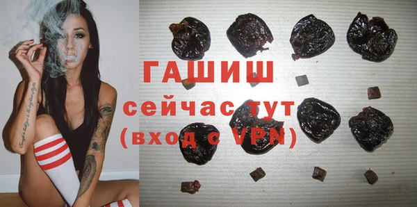 хмурый Абаза