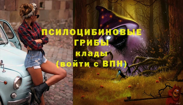 хмурый Абаза