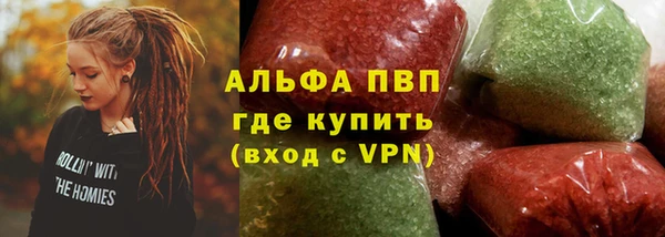 хмурый Абаза