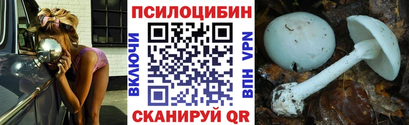 где купить наркоту  Шахунья  Галлюциногенные грибы мухоморы 